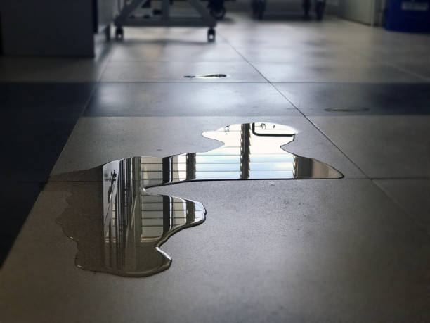 Best Water damage restoration company  in Southeast Arcadia, FL