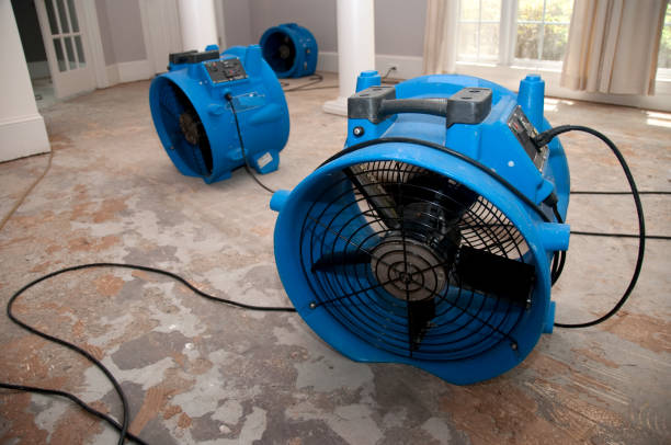 Southeast Arcadia, FL Water damage restoration Company